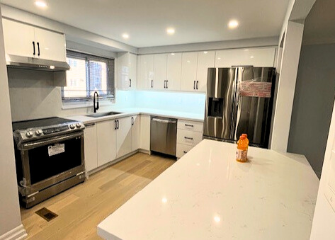 North York open kitchen with central island connecting living and cooking area